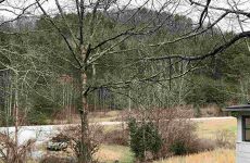 3846619