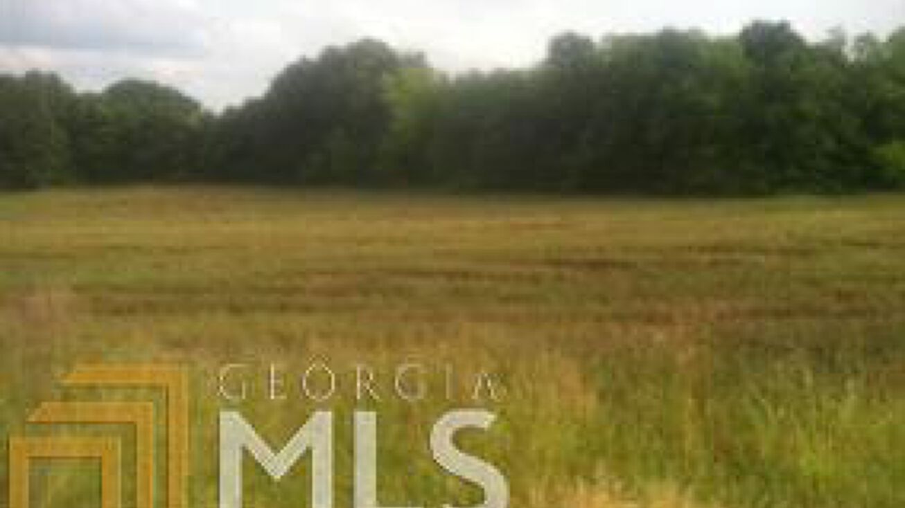 Highway 17 31.50 Acres, Lavonia, GA 30553 Land for Sale Highway 17