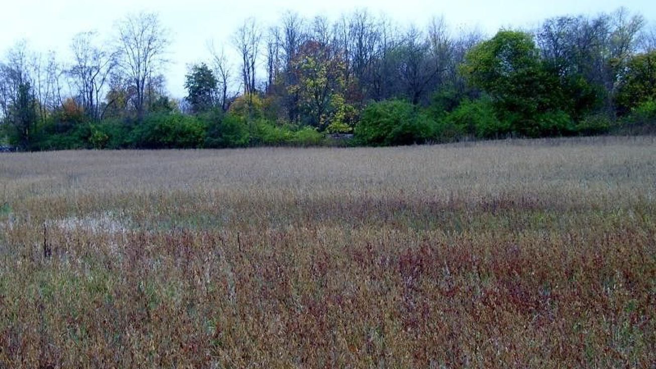 1030 US202, East Amwell Township, NJ 08551