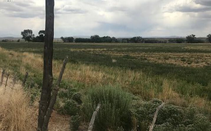 Pictures of Land property located at TRACT S1 ROAD 1191, La Plata, NM 87418 for sales - image #1