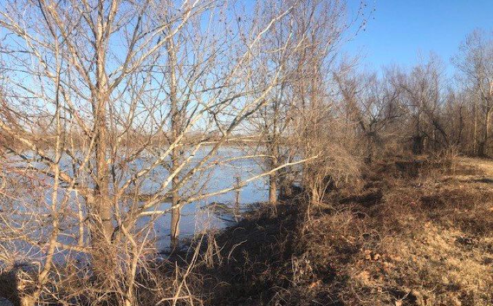 Pictures of Land property located at 0 Red River Landing, Boyce, LA 71409 for sales - image #1