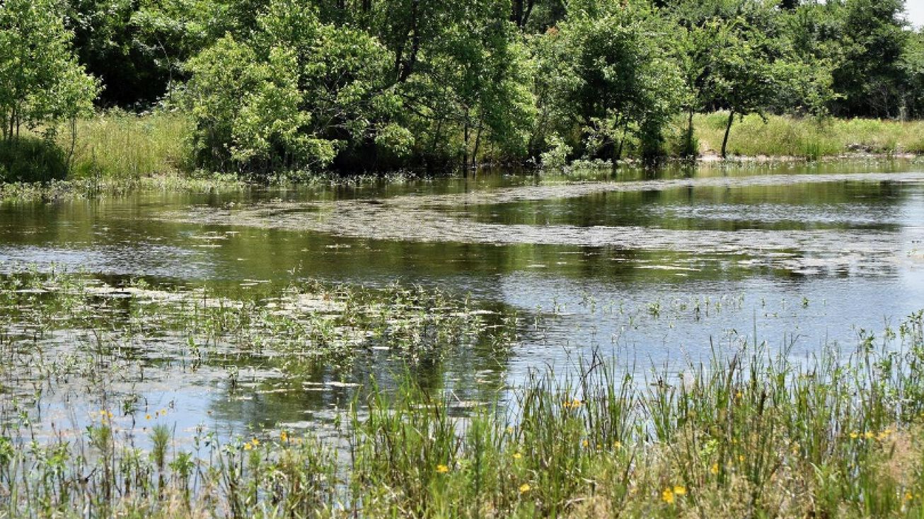 15830 Railroad Road, Bremond, TX 76629 Land for Sale 15830 Railroad