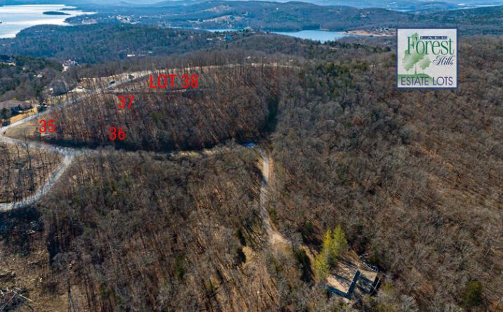 10 Sterling Oaks Ln, Reeds Spring, MO 65737 - Land for Sale - 10 ...