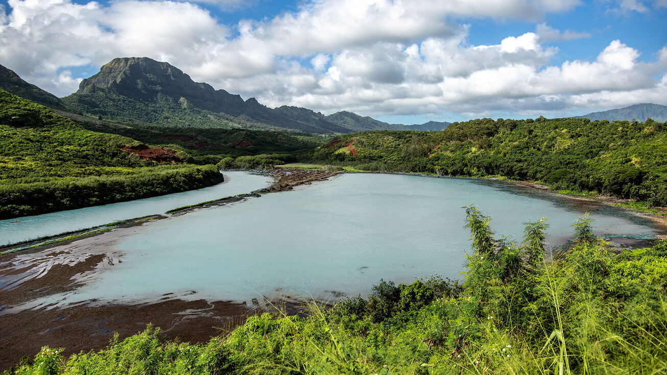2310 Hulemalu Rd, Lihue, HI 96766