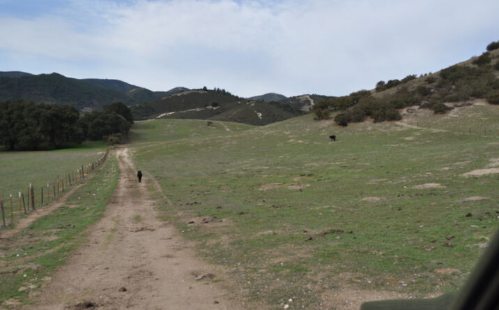 Pictures of Land property located at Unnamed Road, King City, CA 93930 for sales - image #1