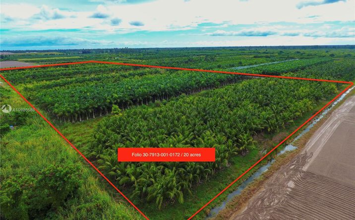 Pictures of Land property located at 328 SW and 122 Avenue, Miami, FL 33033 for sales - image #1