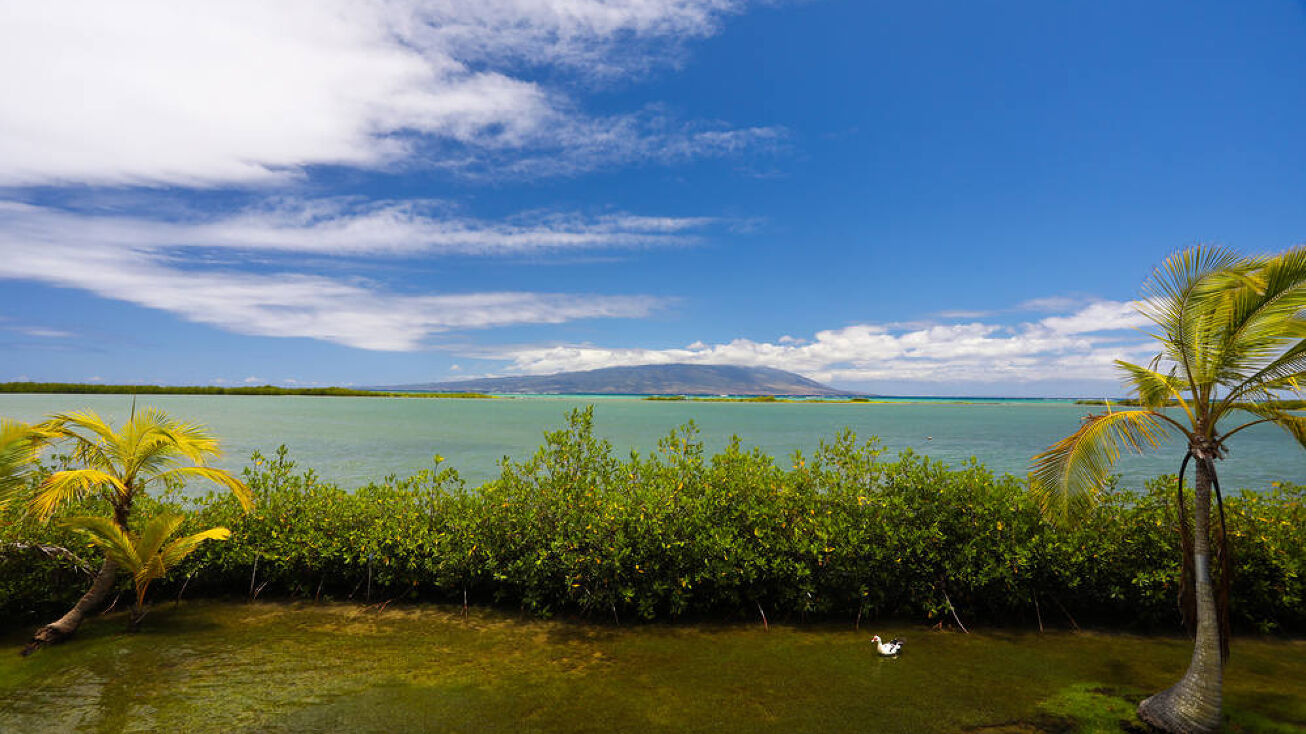 8900 Kamehameha V Hwy, Kaunakakai, HI 96748