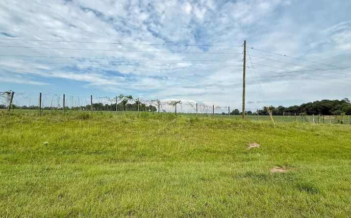 Pictures of Land, Special Purpose property located at 1344 Hwy 69 Highway, Grand Ridge, FL 32442 for sales - image #1