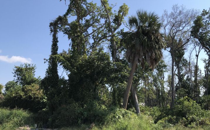 Pictures of Land property located at 0000 Drummond Avenue, Panama City, FL 32401 for sales - image #1