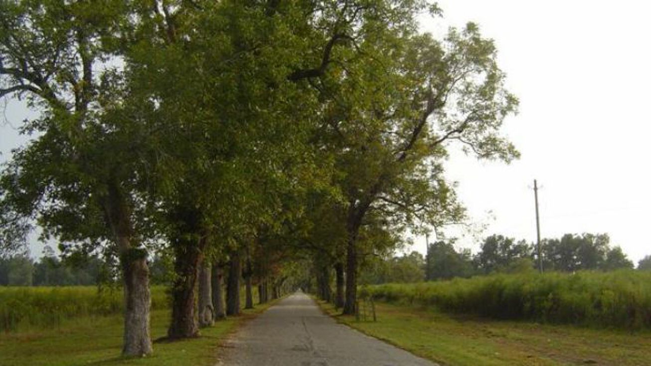 600 Pecan Ln, Lake Waccamaw, NC 28450