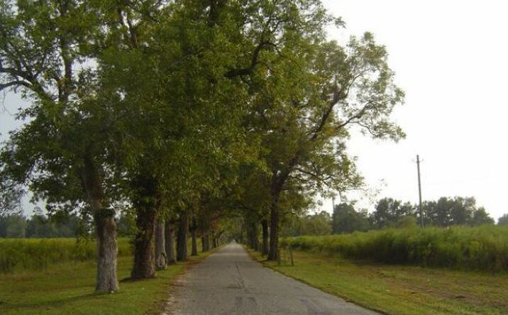 Pictures of Land property located at 600 Pecan Ln, Lake Waccamaw, NC 28450 for sales - image #1