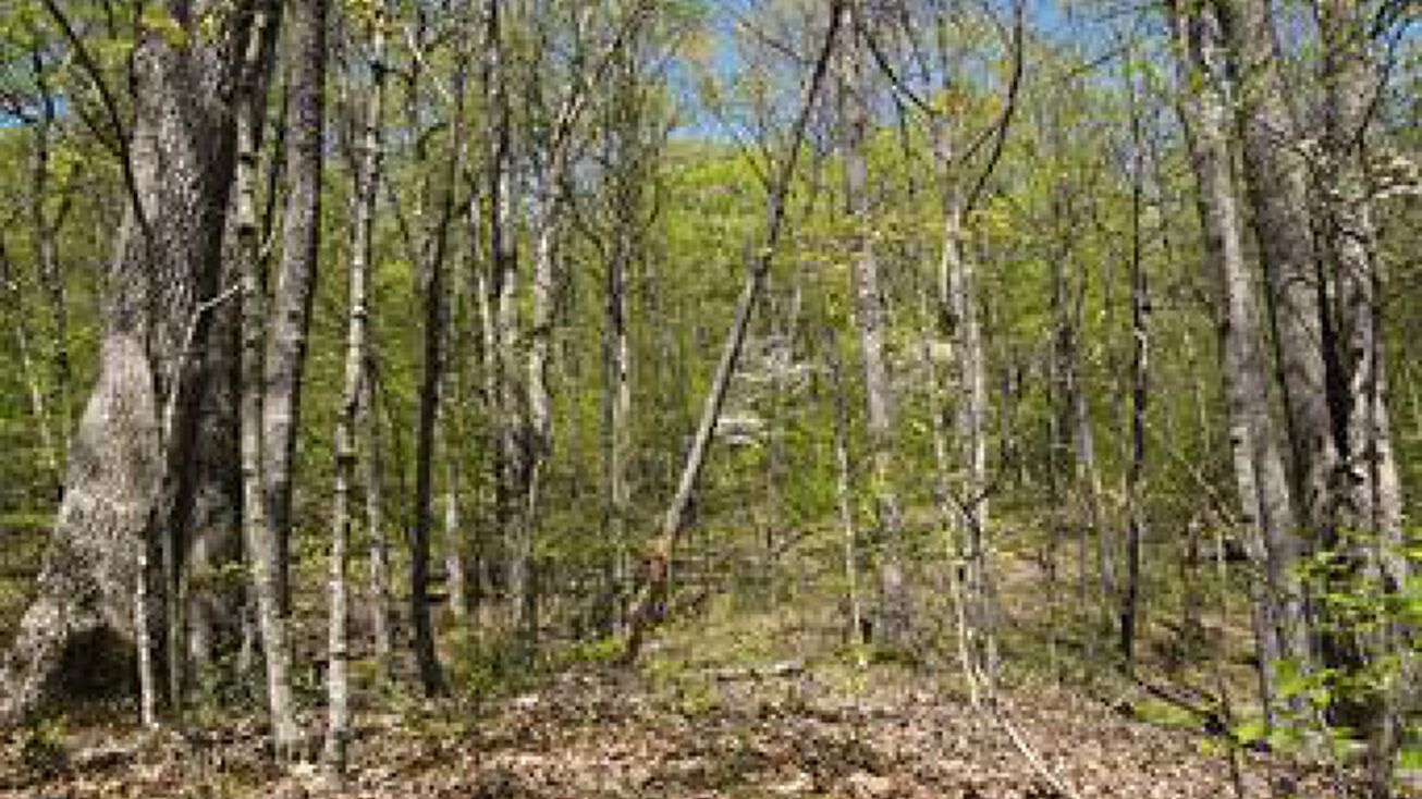 11990 Emmaus Dr, Marthasville, MO 63357