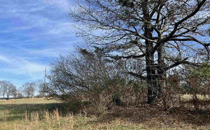 image of property at 0 HIGHWAY 60 AND GUY COOPER RD Pendergrass GA 30567