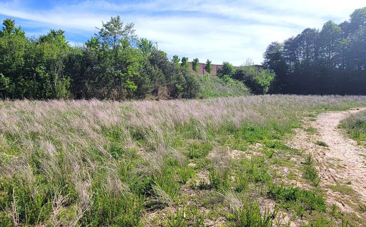 Pictures of Land property located at Airport Rd, Arden, NC 28704 for sales - image #1