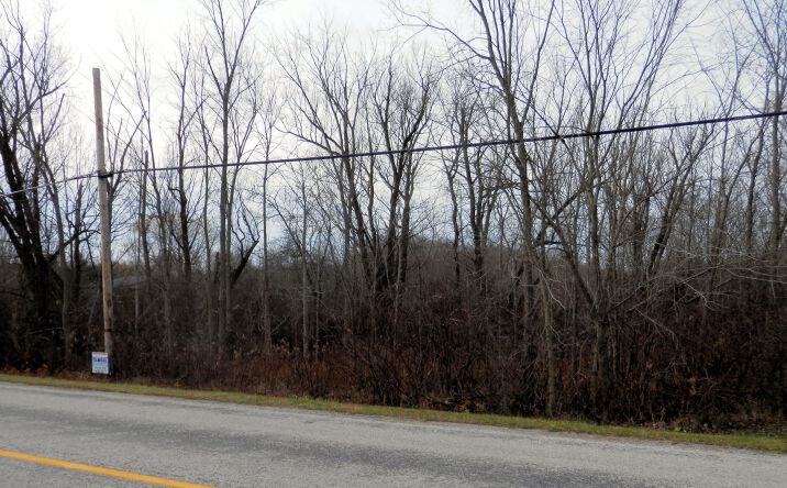 Pictures of Land property located at Brown Rd, Plymouth Township, OH 44004 for sales - image #1