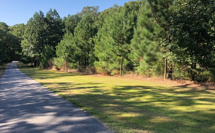 Pictures of Land property located at 19300 Piney Point Rd, Valley Lee, MD 20692 for sales - image #1