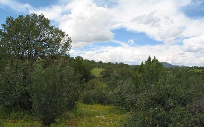 Pictures of Land property located at Tract C Xyz Ranch Road, Silver City, NM 88061 for sales - image #1
