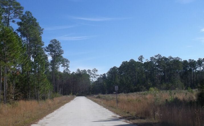 Pictures of Land property located at 68470 LA-59, Mandeville, LA 70471 for comps - image #1