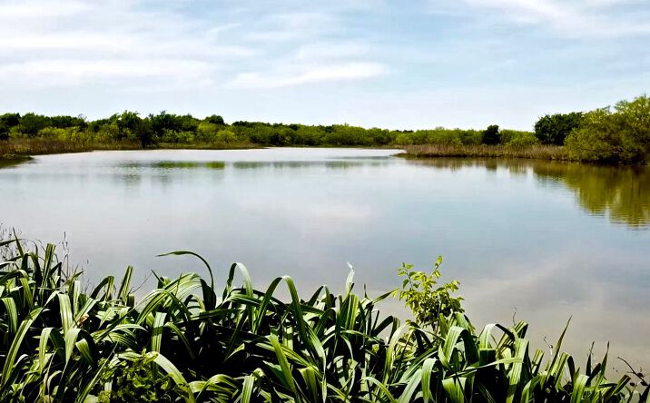 Pictures of Land property located at 1201 McPherson Rd, Fort Worth, TX 76140 for sales - image #1