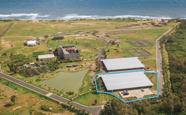 Hawaii Commercial Real Estate For Sale Mixed Use More