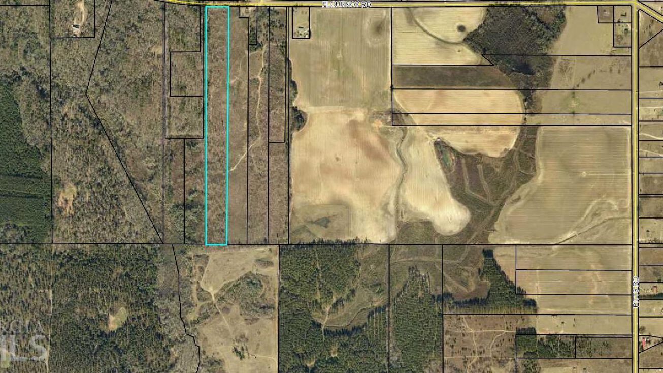 875 E Flournoy Rd, Hawkinsville, GA 31036 Land for Sale 875