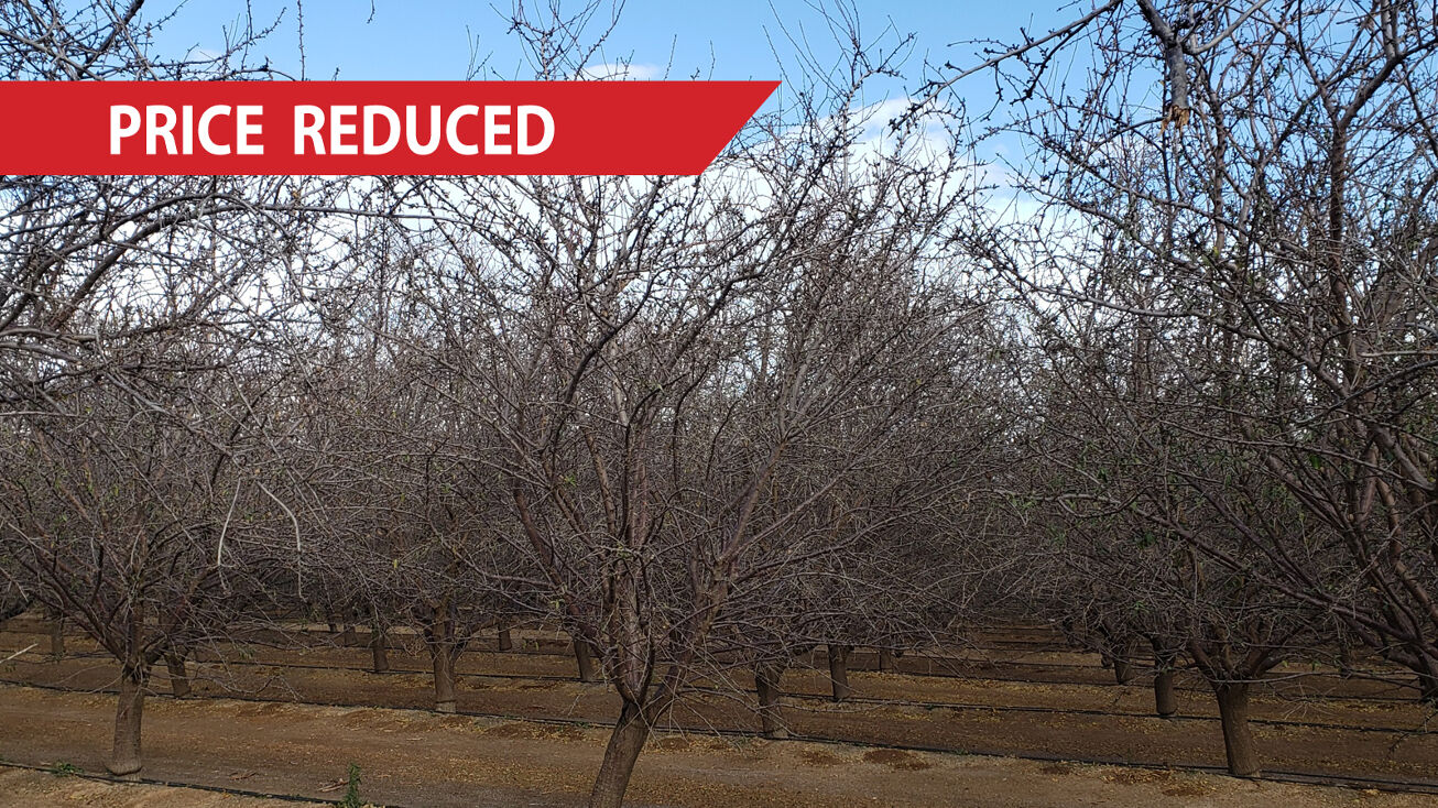 703 acs. San Luis Water District Almonds, Los Banos, CA 93635 Land
