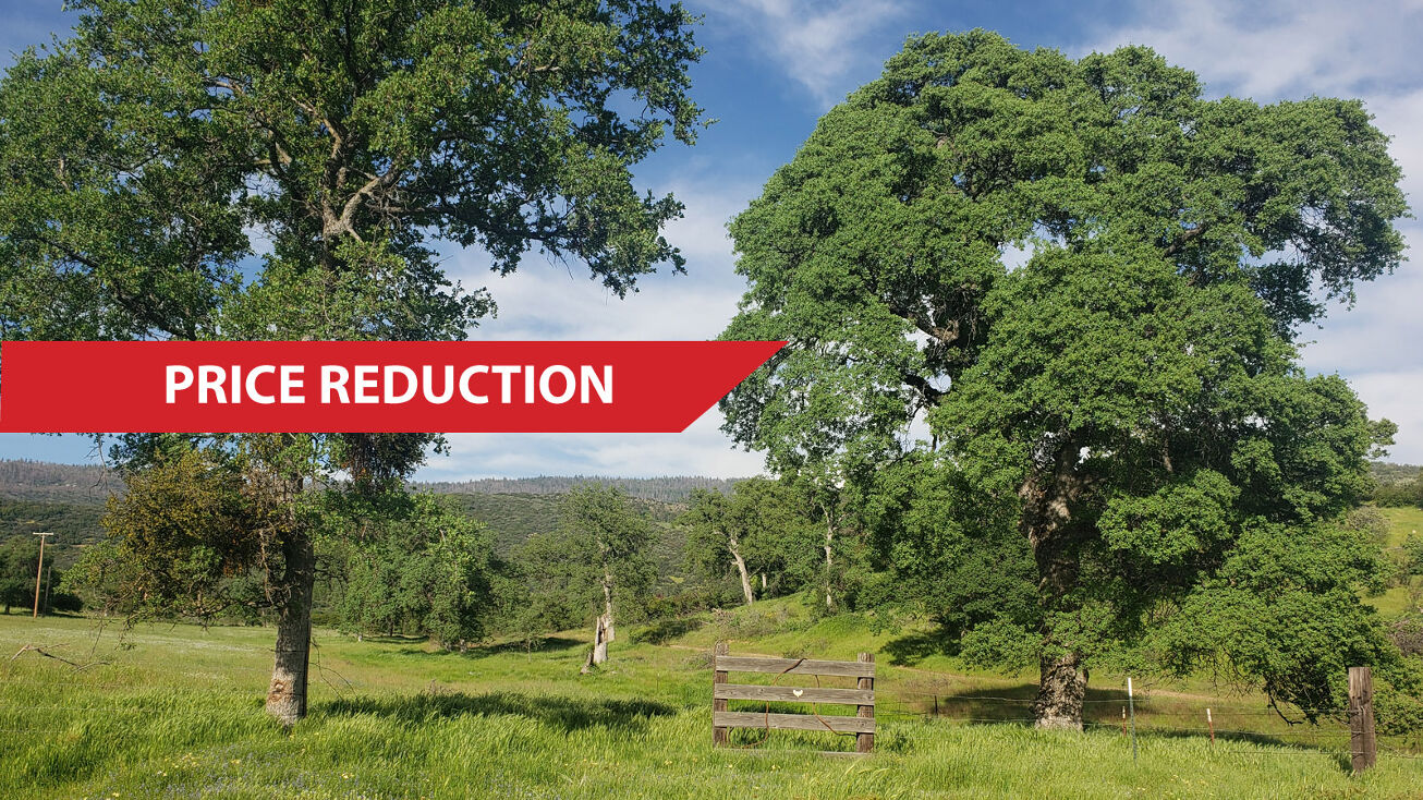 640 acs. White Cattle Ranch, Miramonte, CA 93641 Land for Sale 640