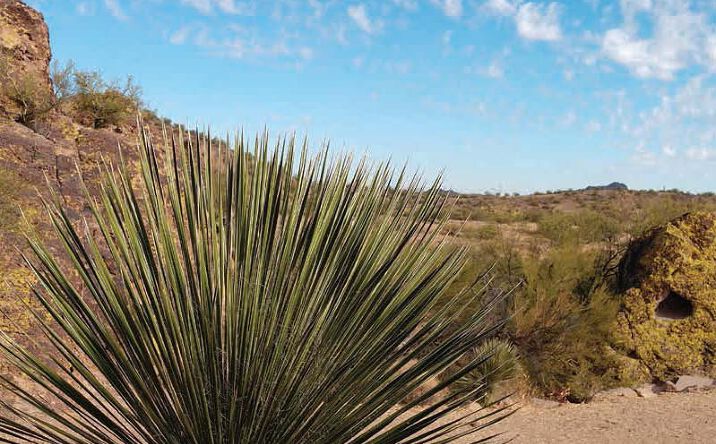 Flying Ranch Az South of the SEC of Flying E Ranch Rd & US-60, Wickenburg, AZ 85390 ...