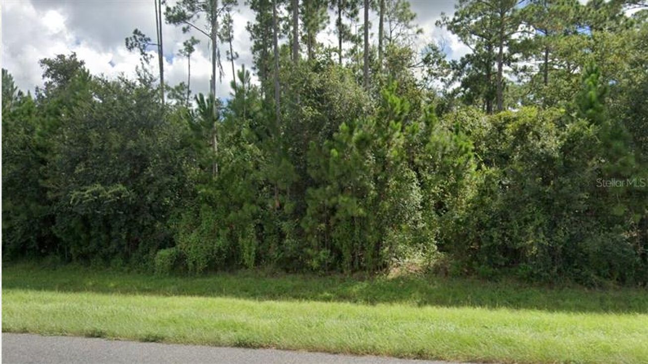 9712 James Creek Road, Christmas, FL 32709