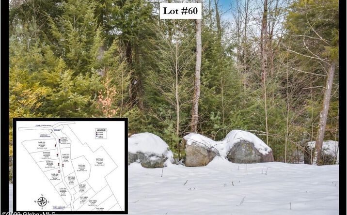 Pictures of Land property located at 60 Carriage Knolls Rd, Chestertown, NY 12817 for sales - image #1
