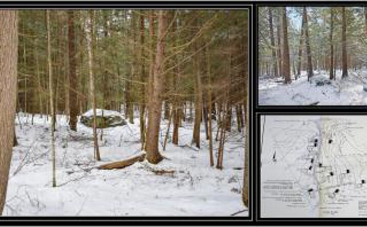 Pictures of Land property located at 34 Carriage Road, Chestertown, NY 12817 for sales - image #1