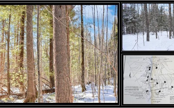 Pictures of Land property located at 62 Carriage Rd, Chestertown, NY 12817 for sales - image #1