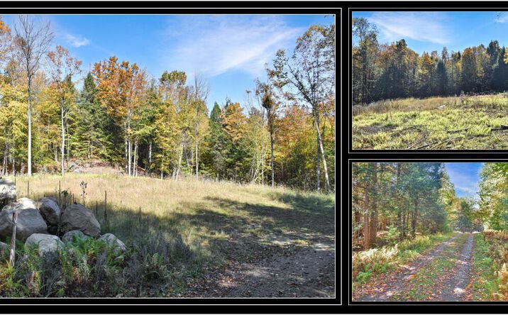 Pictures of Land property located at 64 Carriage Rd, Chestertown, NY 12817 for sales - image #1