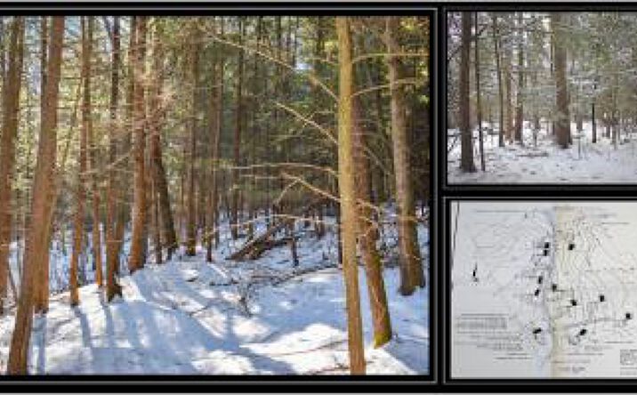 Pictures of Land property located at 22 Carriage Road, Chestertown, NY 12817 for sales - image #1