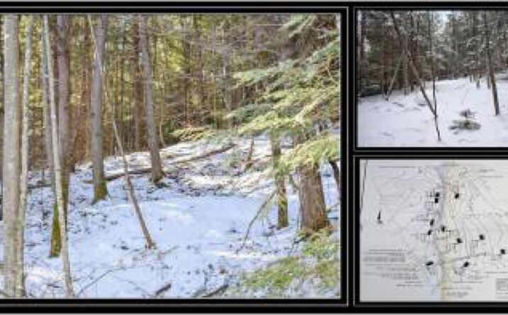 Pictures of Land property located at 20 Carriage Road, Chestertown, NY 12817 for sales - image #1