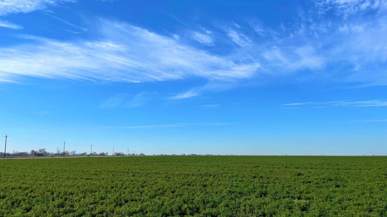 Chamberlain Rd, Dos Palos, CA 93620