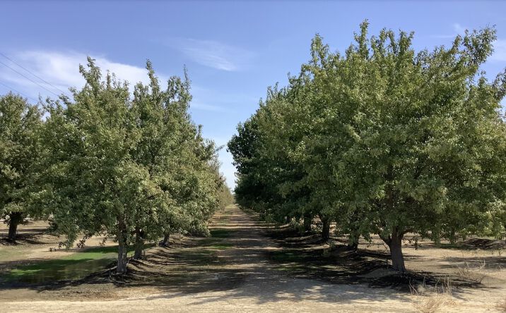 NWC of McCombs and Gun Club Road, Wasco, CA 93280 - Land for Sale - 563 ...