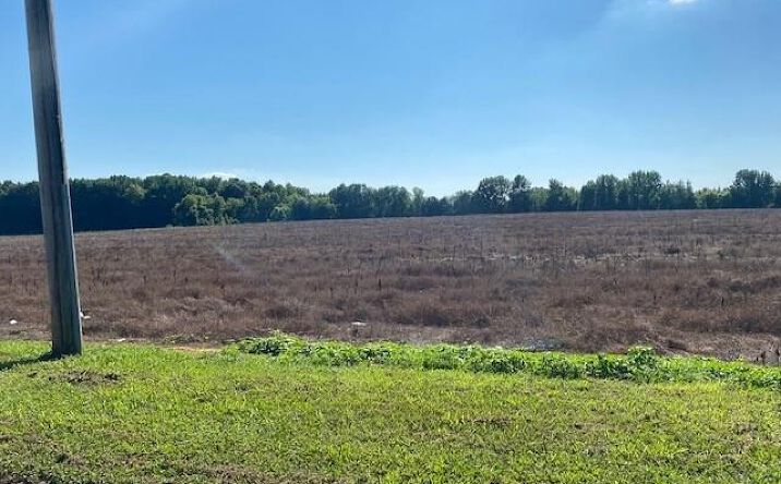 image of property at 11128 COUNTY LINE RD Madison AL 35756