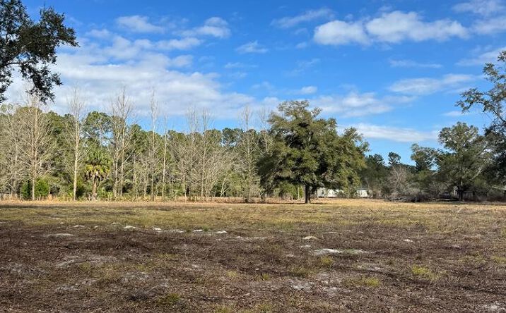 Pictures of Land property located at Hwy 349, Old Town, FL 32680 for sales - image #1