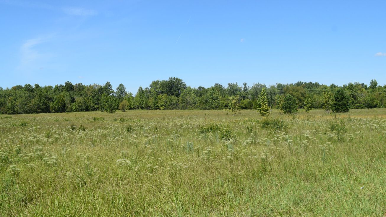 1 Manchester Hwy, Morrison, TN 37357 Land for Sale 1 Manchester Hwy