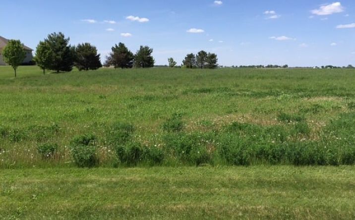 Pictures of Land property located at 17402 Wildflower Circle, Union, IL 60180 for sales - image #1