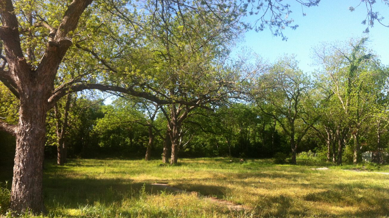 1425 Greenlee St, Denton, TX 76205