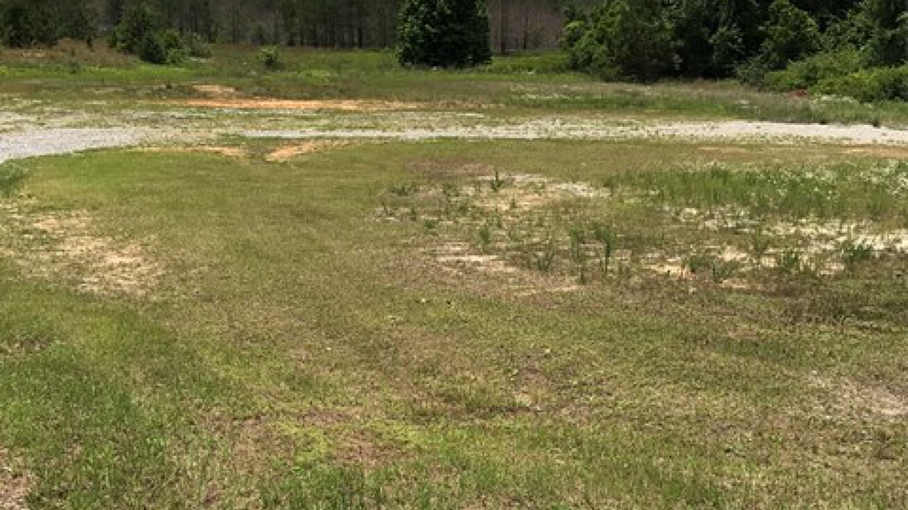 270 Pinewood Road, Sumter, SC 29150