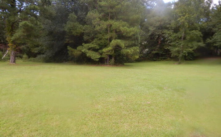Pictures of Land, Special Purpose property located at 317 Lake Arbu Drive, Manning, SC 29102 for sales - image #1