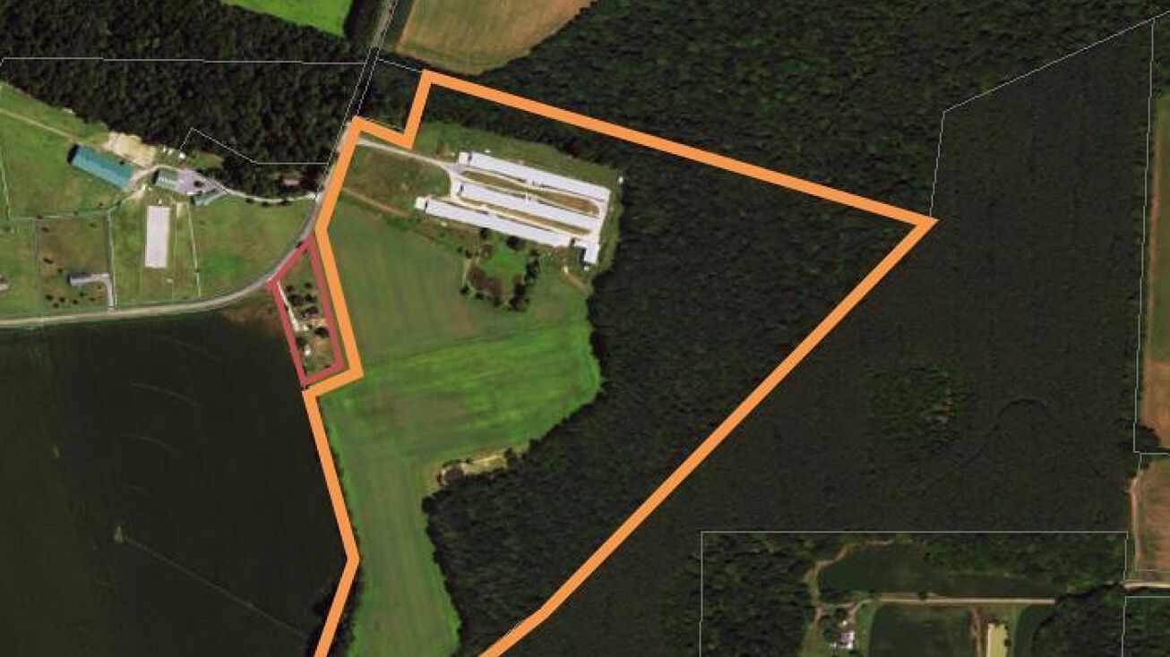 6329 Statum Road, Preston, MD 21655 Land for Sale Whitetail Grove Farm