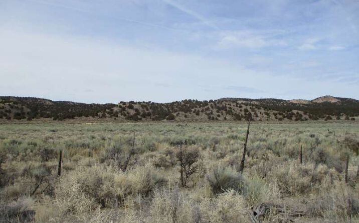 Pictures of Land property located at Eagle Valley Rd, Ursine, NV 89043 for sales - image #1