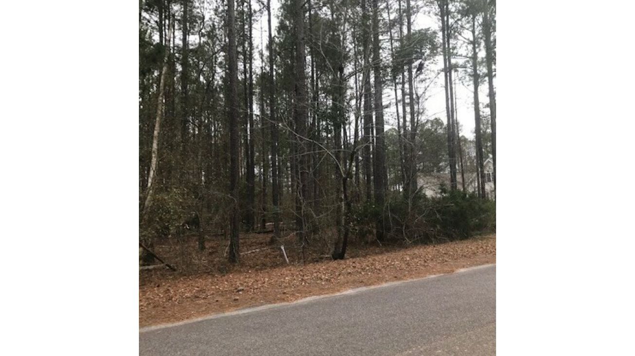 0 Lakewood Parkway, Barnwell, SC 29812