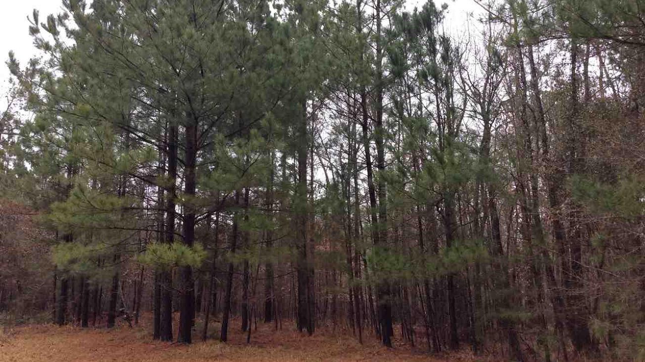 Ferris Mountain Dr, Fordyce, AR 71742