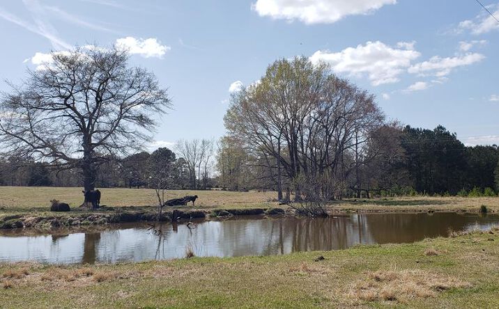 Pictures of Retail property located at 716 Augusta Road, Edgefield, SC 29824 for sales - image #1