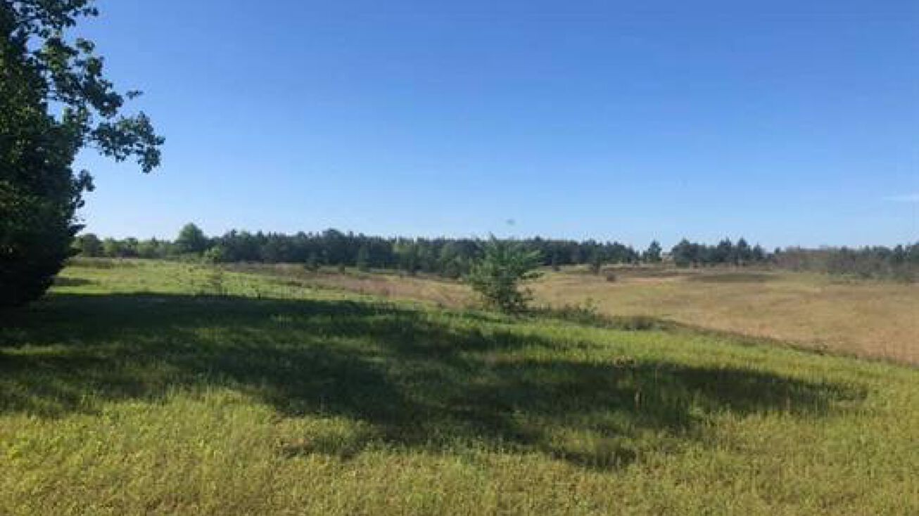 2771 South St, Marshallville, GA 31057